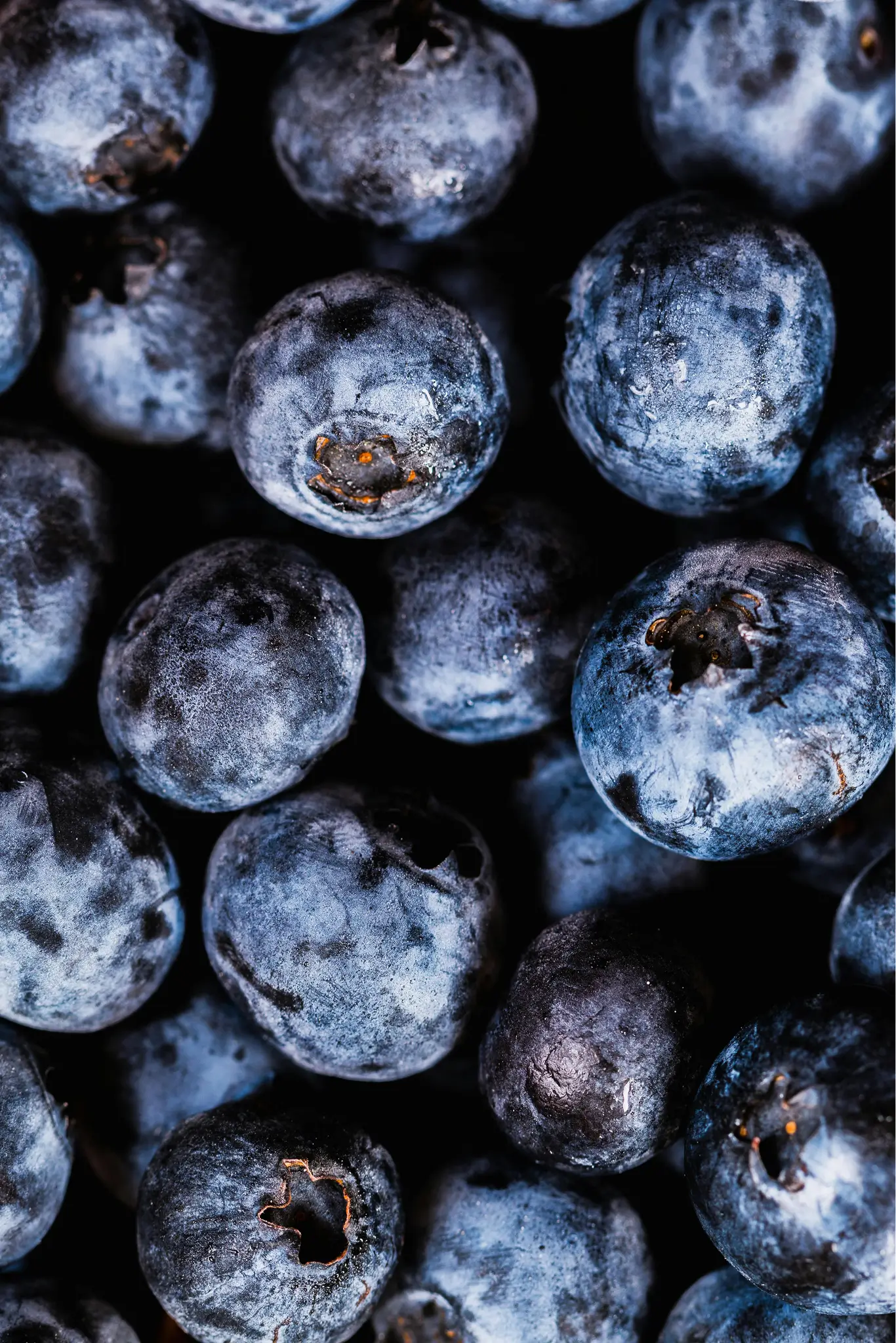 Blueberries