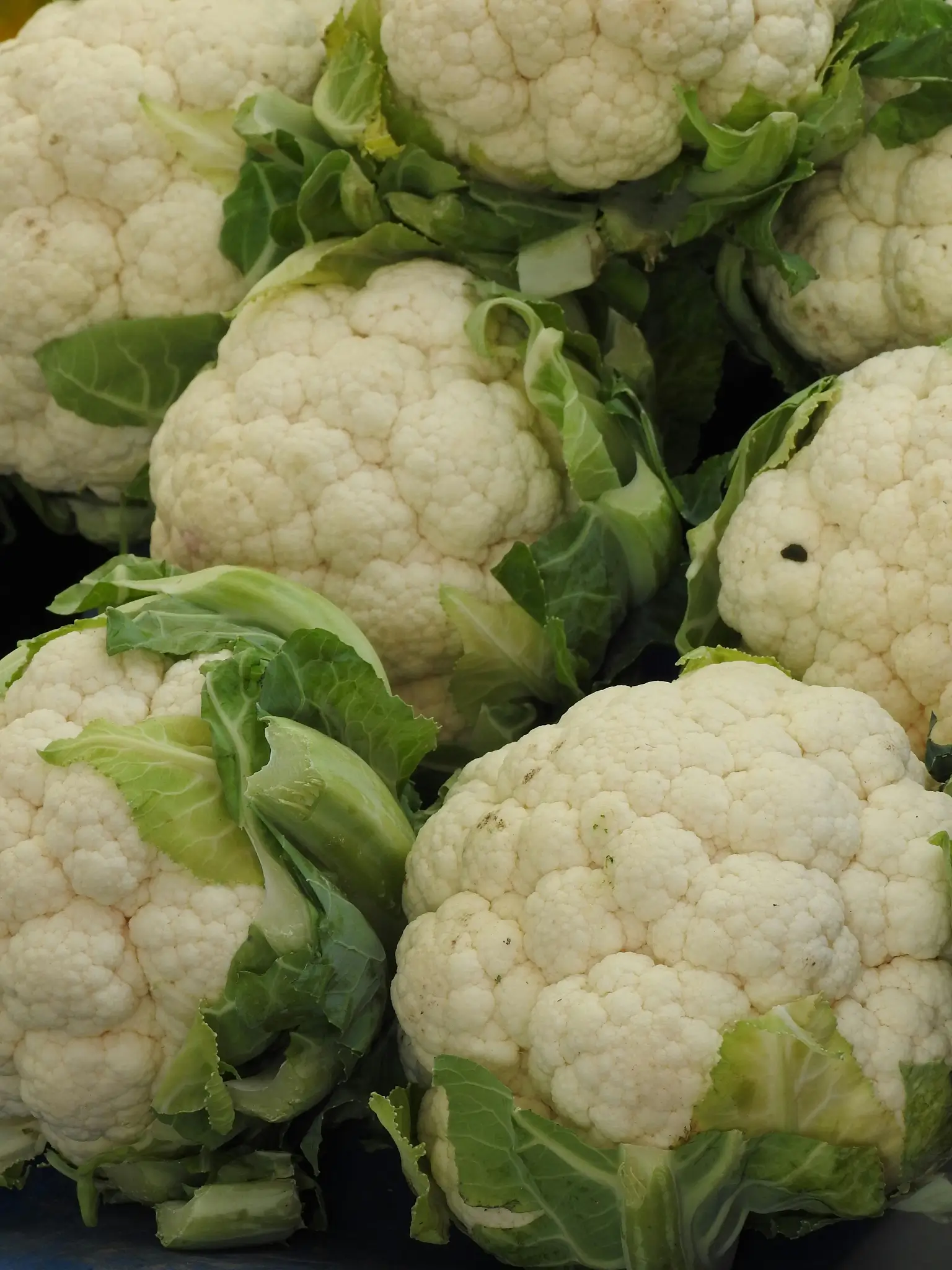 Cauliflower