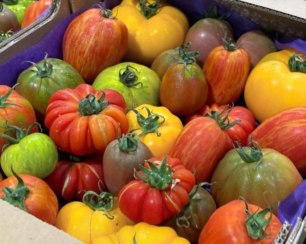 Heirloom Tomatoes