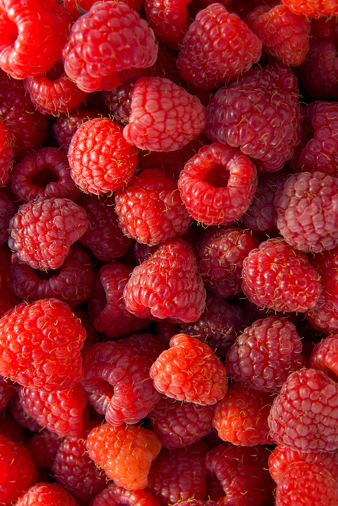 Raspberries