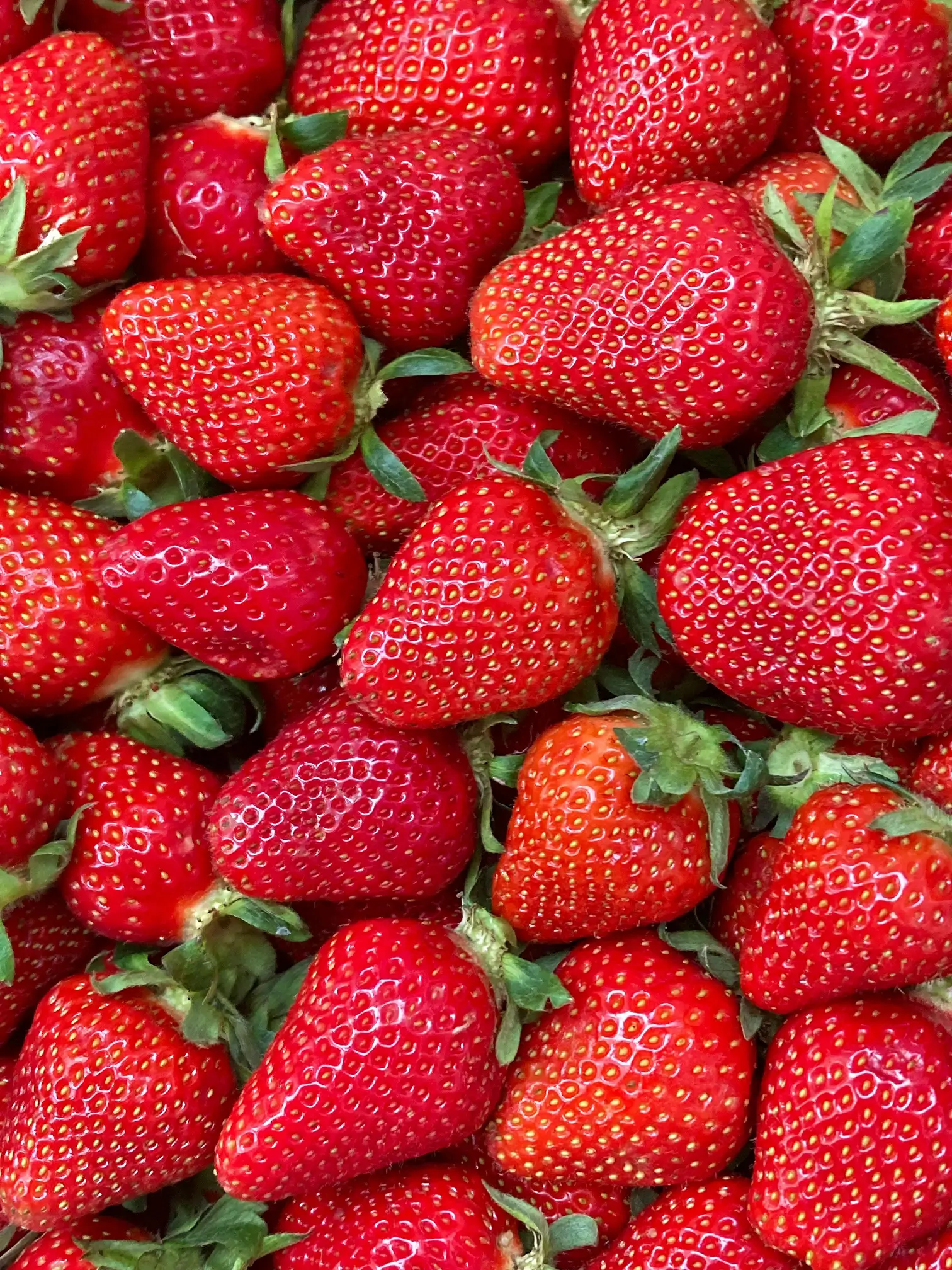 Strawberries