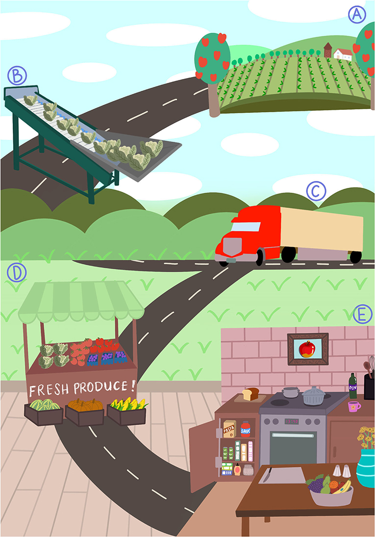 Fresh produce journey